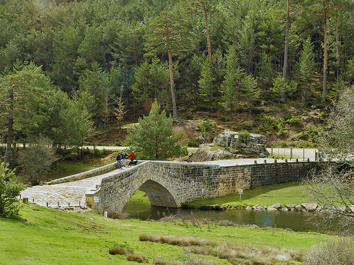 bienvenido home web covaleda puente soria ayuntamiento
